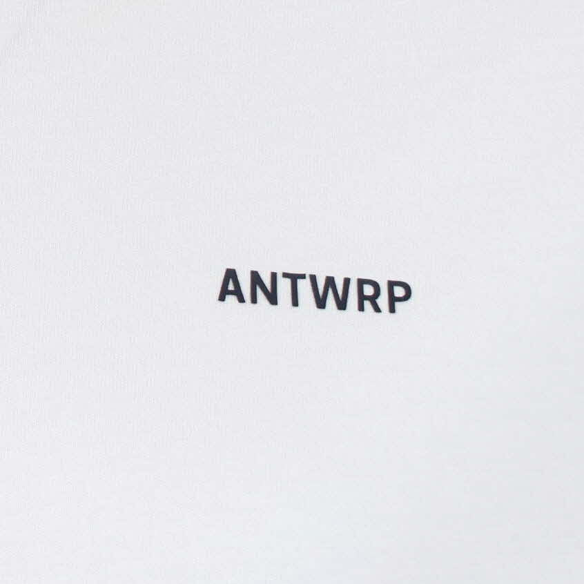 WIT